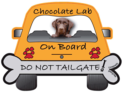 Labrador Retriever Do Not Tailgate Magnets