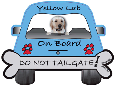 Labrador Retriever Do Not Tailgate Magnets