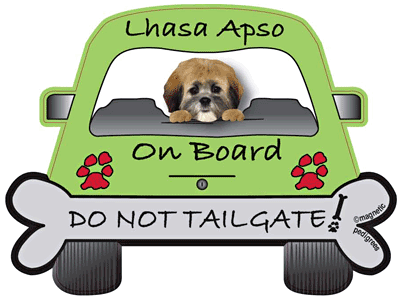 Lhasa Apso Do Not Tailgate Magnets