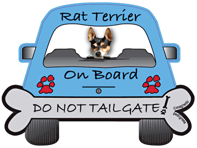 Rat Terrier Do Not Tailgate Magnets