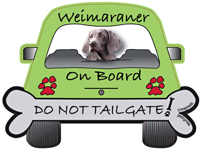 Weimaraner Do Not Tailgate Magnets