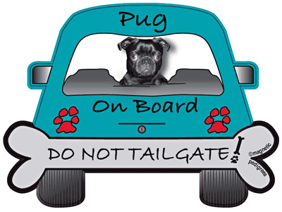 Pug Do Not Tailgate Magnets