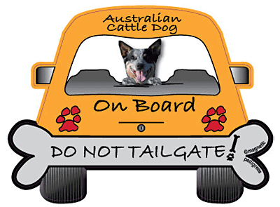 Australian Cattle Dog Do Not Tailgate Magnets