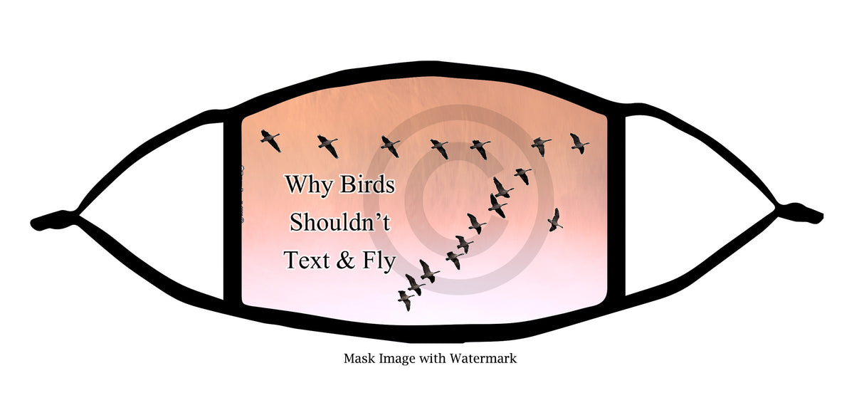 Why Birds Shouldn't Text and Fly Face Mask