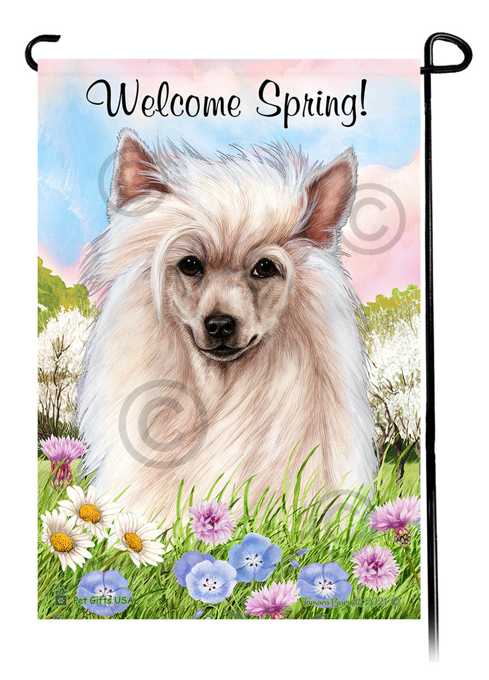 Chinese Crested Welcome Spring - Garden Flag
