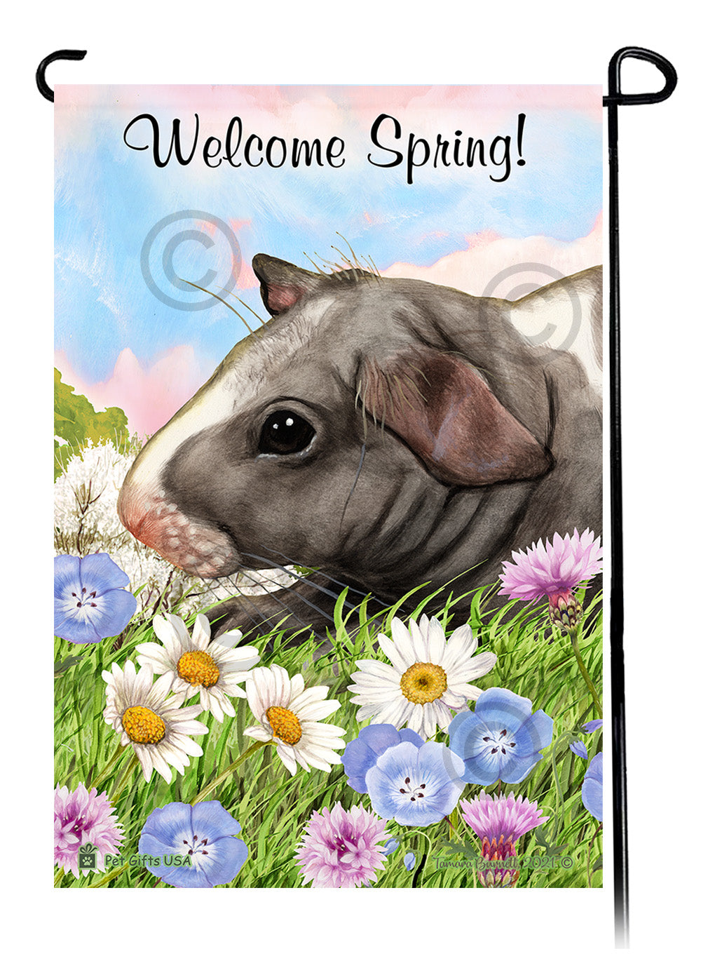 Skinny Hairless Guinea Pig Welcome Spring Garden Flags