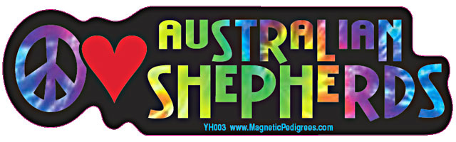Australian Shepherd Yippie Hippie Bumper Sticker