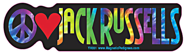 Jack Russell Terrier Yippie Hippie Bumper Sticker