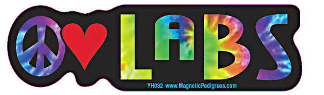 Labrador Retriever Yippie Hippie Bumper Sticker