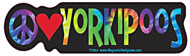 Yorkipoo Yippie Hippie Bumper Sticker