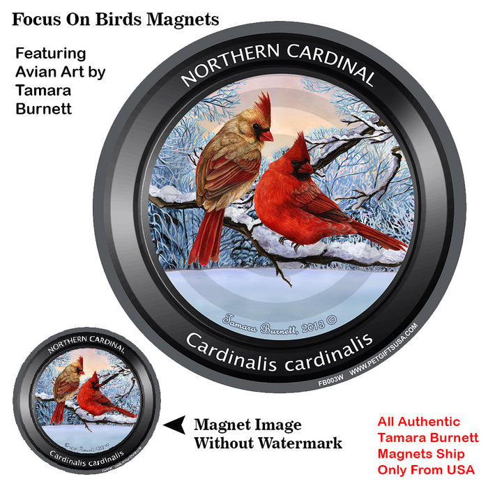 Focus On Bird Magnets