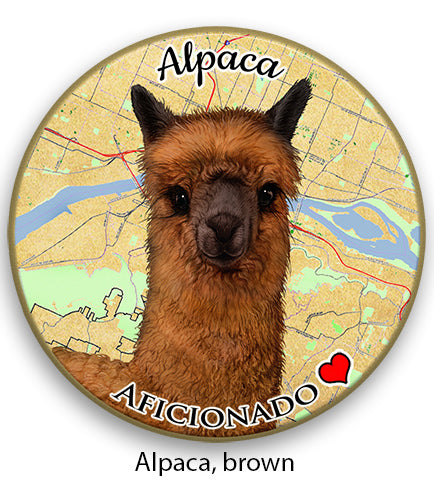 photo of Alpaca