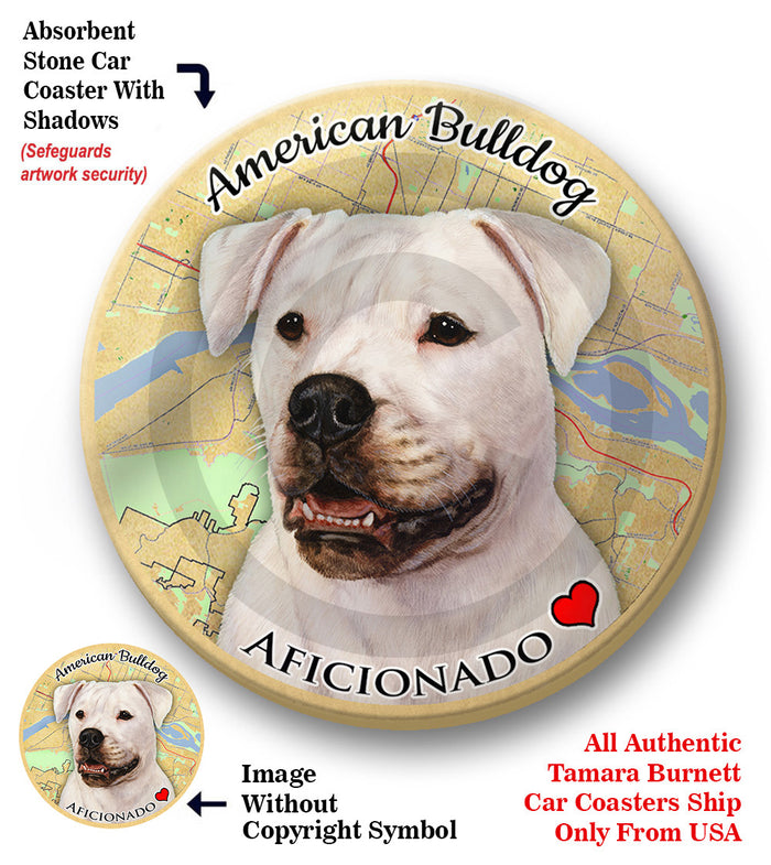 photo of American Bulldog