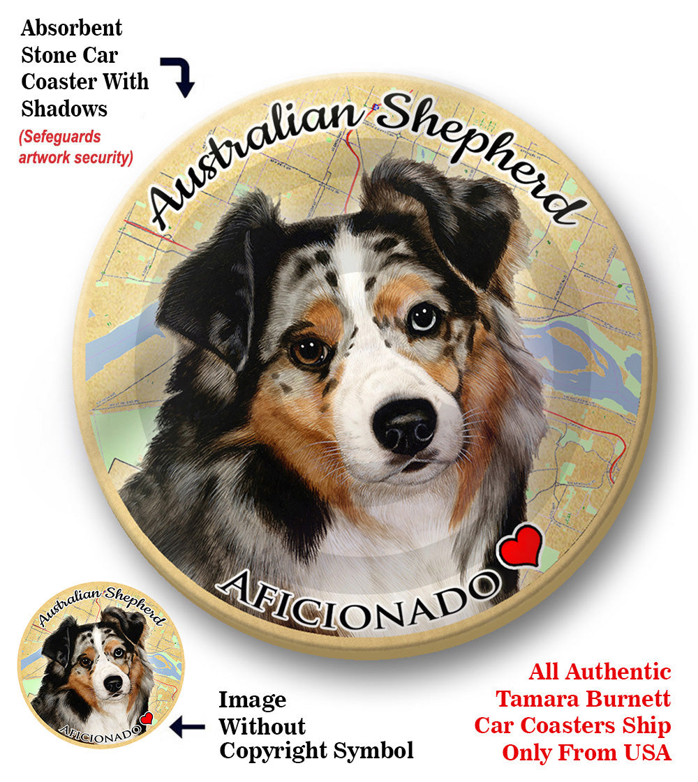 photo of Australian Shepherd