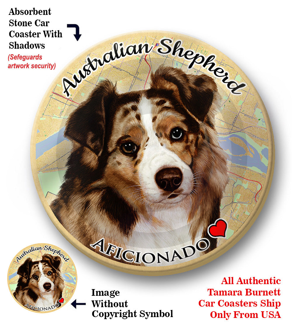 photo of Australian Shepherd