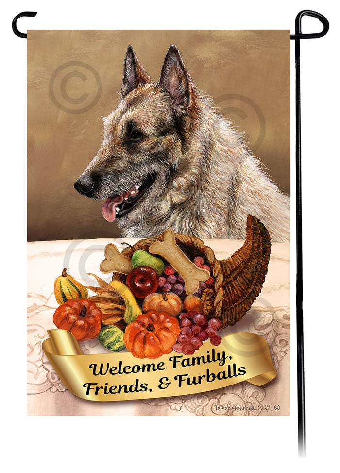 Belgian Laekenois Thanksgiving Garden Flags