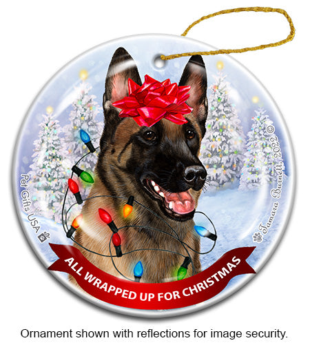 Belgian Malinois All Wrapped Up Ornament