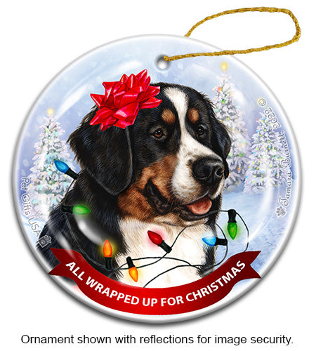 Bernese Mountain Dog All Wrapped Up Ornament