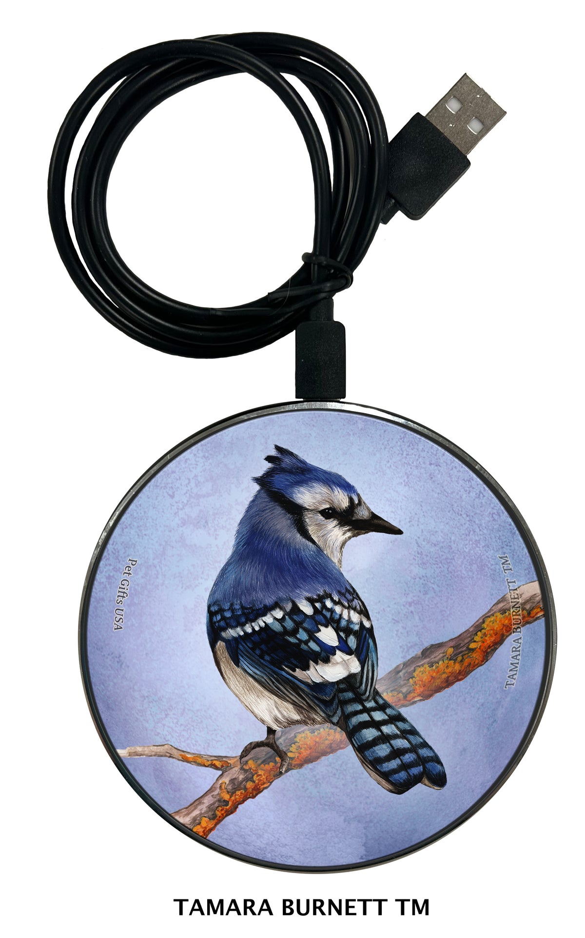 Eastern Blue Jay Zoomies Wireless Charger