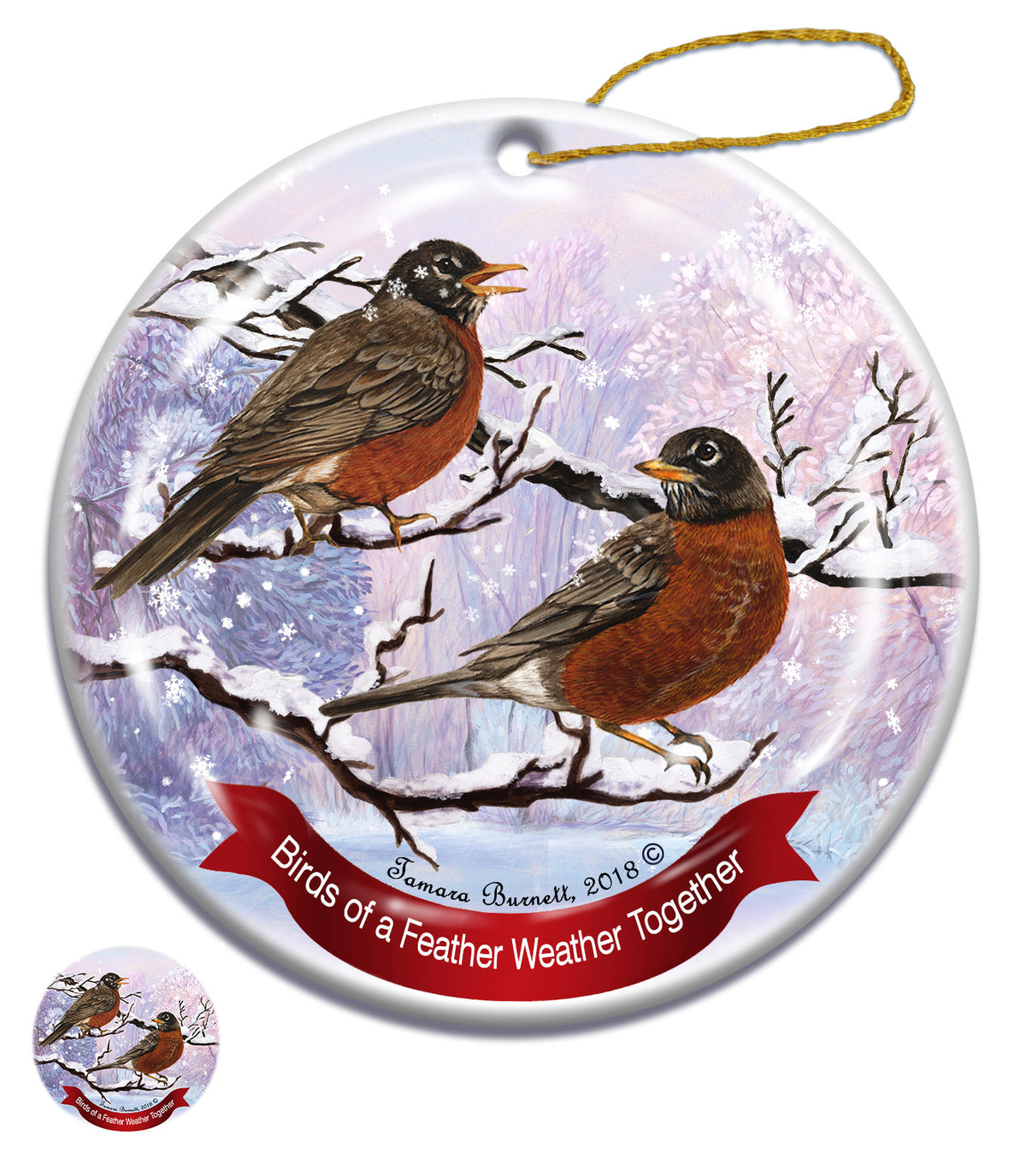 American Robin - Santa I Can Explain Ornament