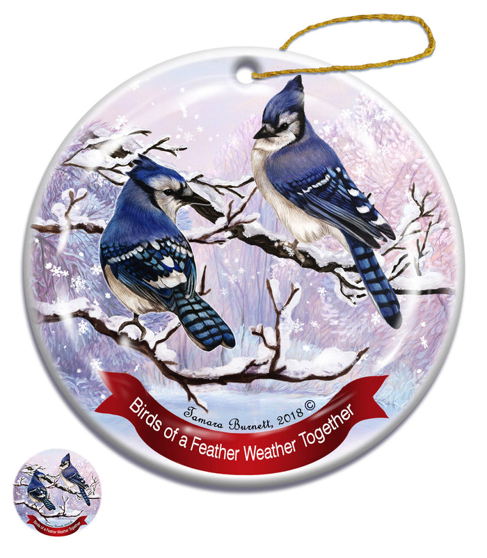 Eastern Blue Jay - Santa I Can Explain Ornament