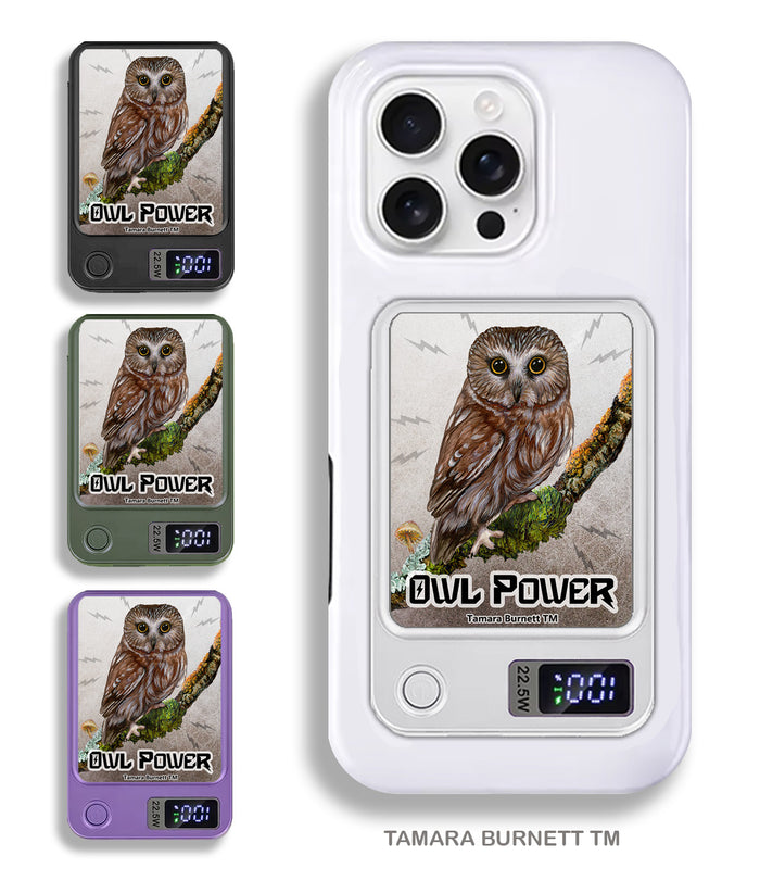 Owl, Saw Whet Phone Bank Wireless Charger