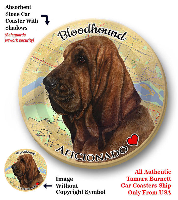 photo of Bloodhound