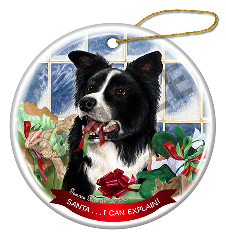 Border Collie - Santa I Can Explain Ornament
