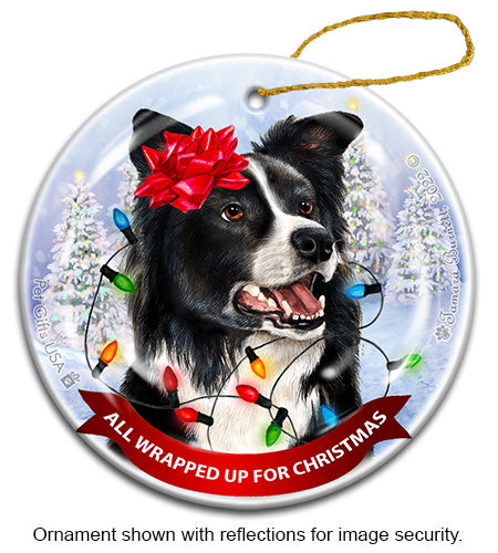 Border Collie All Wrapped Up Ornament