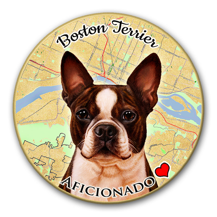 photo of Boston Terrier