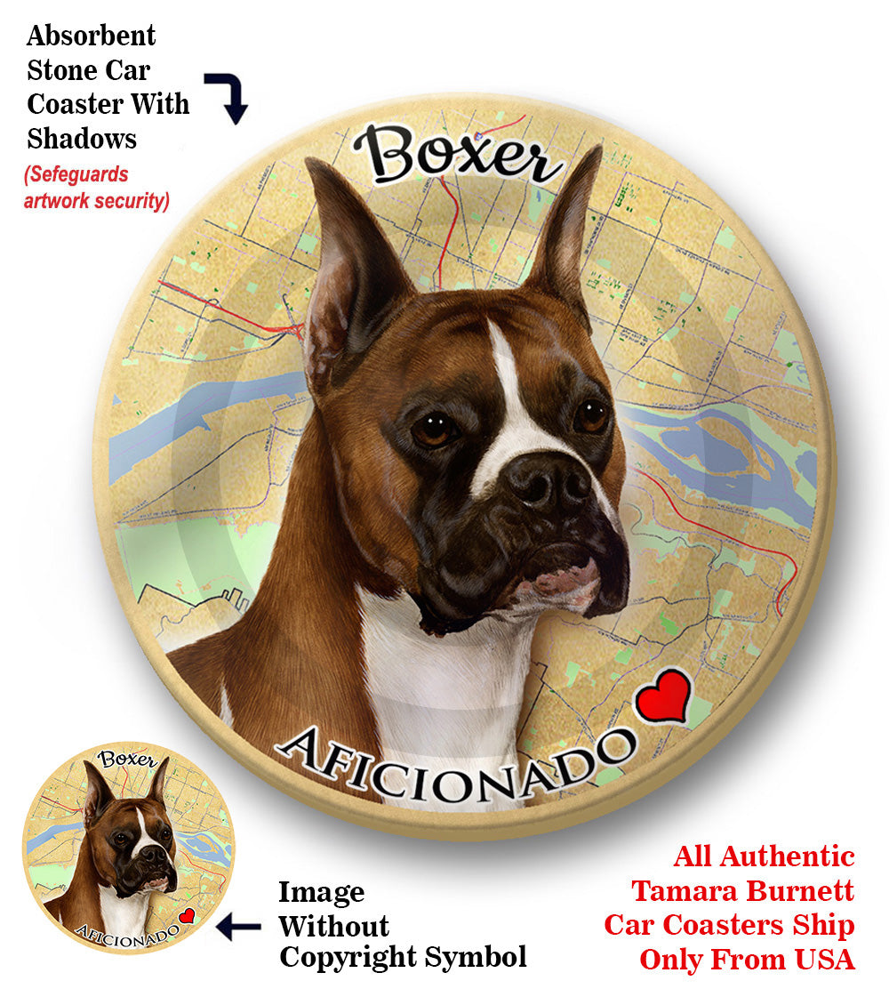 photo of Boxer