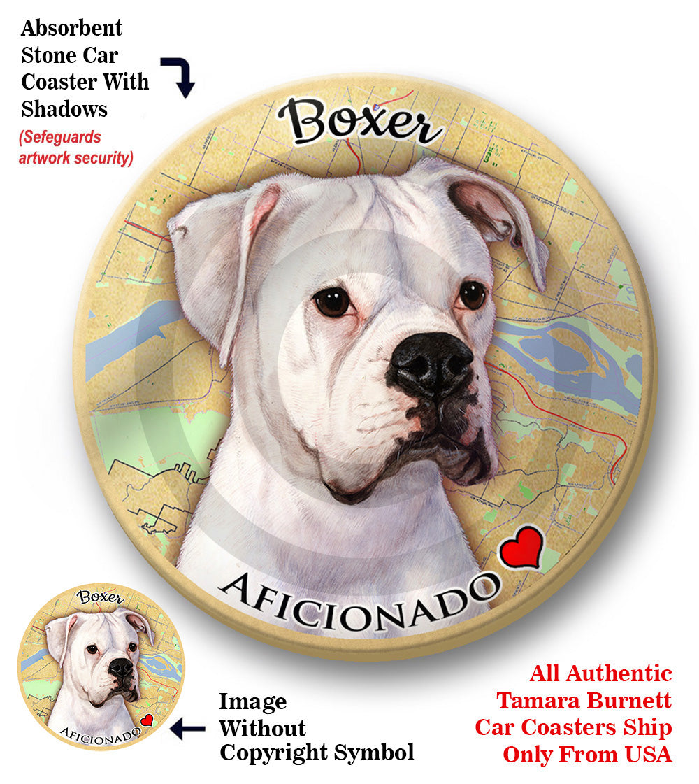 photo of Boxer