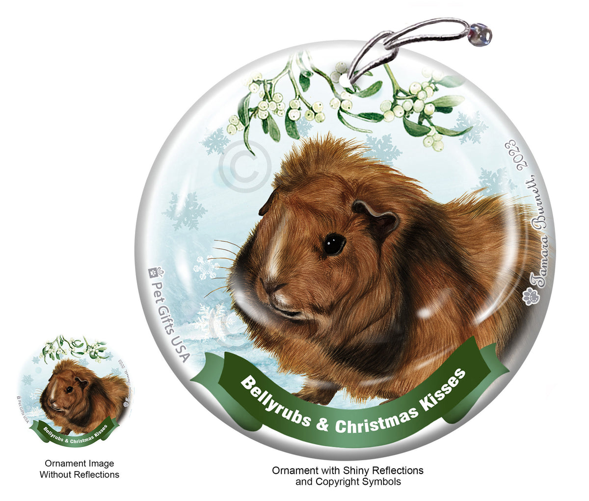 Guinea Pig Abyssinian Bellyrubs and Christmas Kisses Ornament