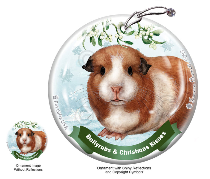 Guinea Pig American Bellyrubs and Christmas Kisses Ornament