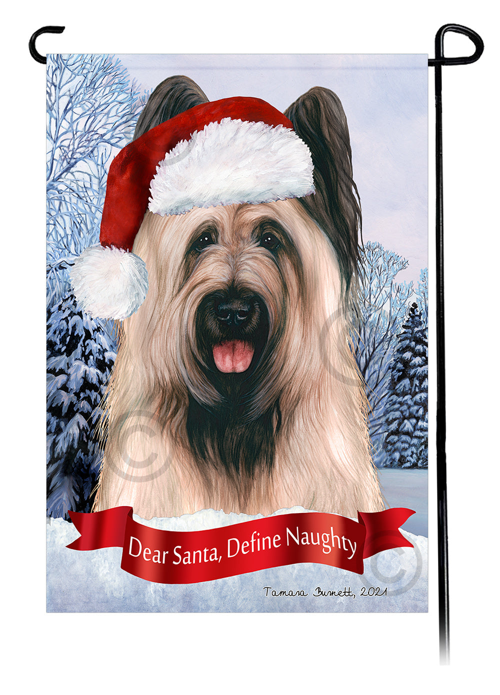 Briard Dear Santa, Define Naughty - Garden Flag