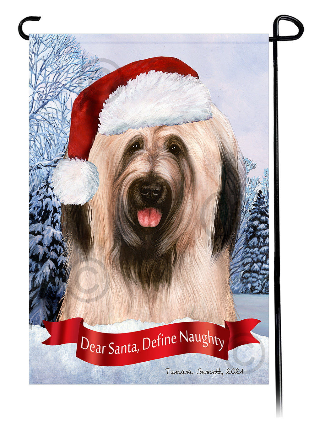 Briard Dear Santa, Define Naughty - Garden Flag