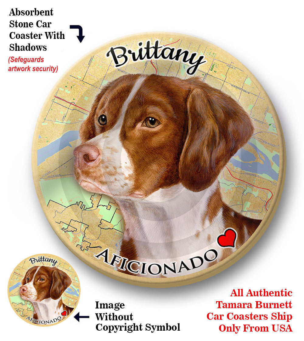 photo of Brittany Spaniel