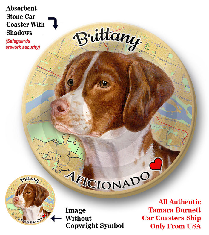 photo of Brittany Spaniel