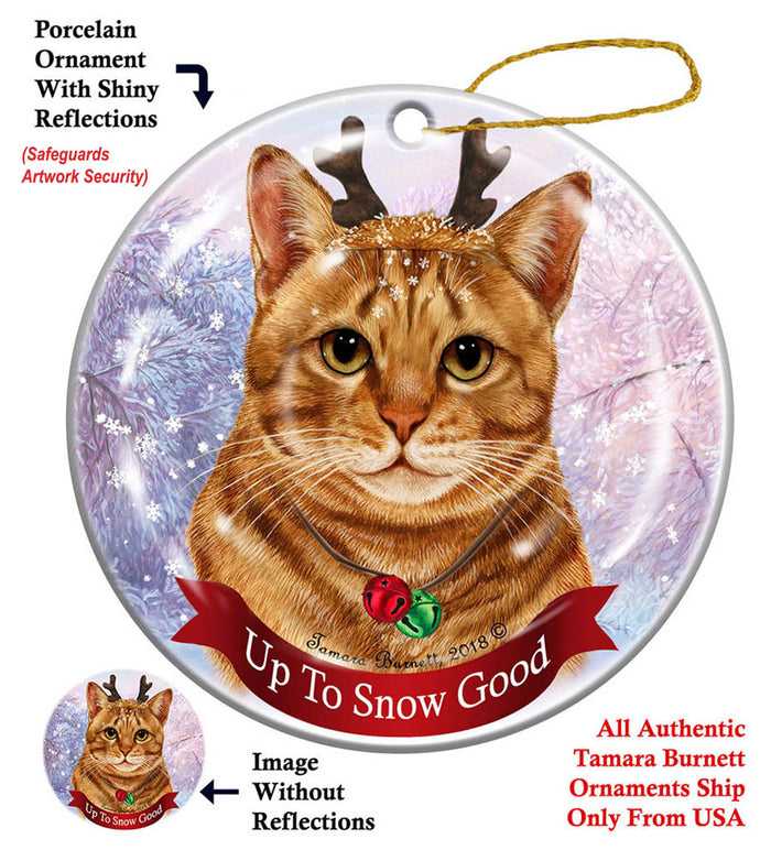 Orange Tabby - Up To Snow Good Ornament