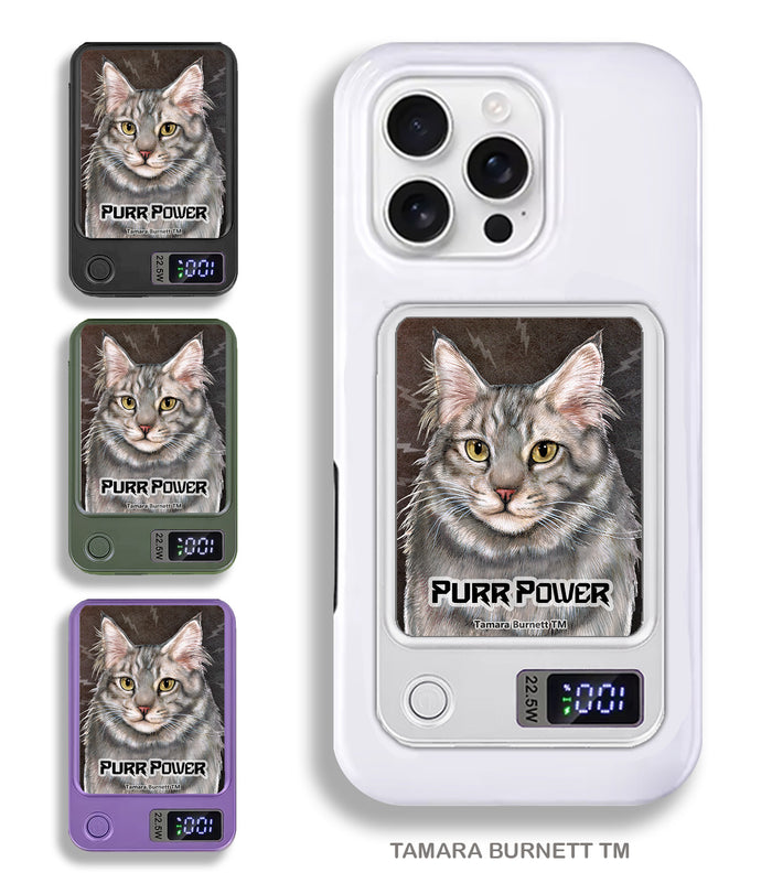 Maine Coon Blue Tabby Phone Bank Wireless Charger