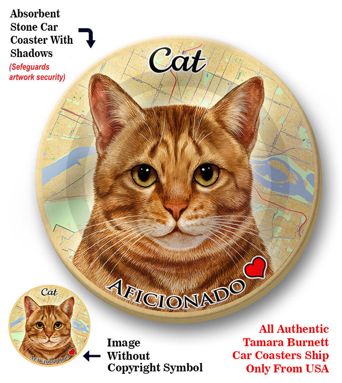 photo of Tabby Cat
