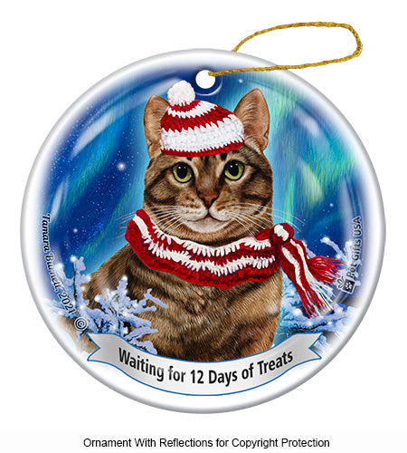 Brn Tabby Cat 12 Days of Treats Ornament