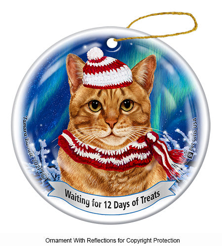 Orange Tabby 12 Days of Treats Ornament