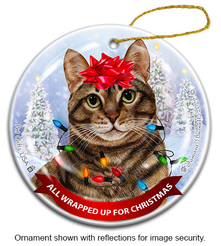 Brown Tabby Cat All Wrapped Up Ornament
