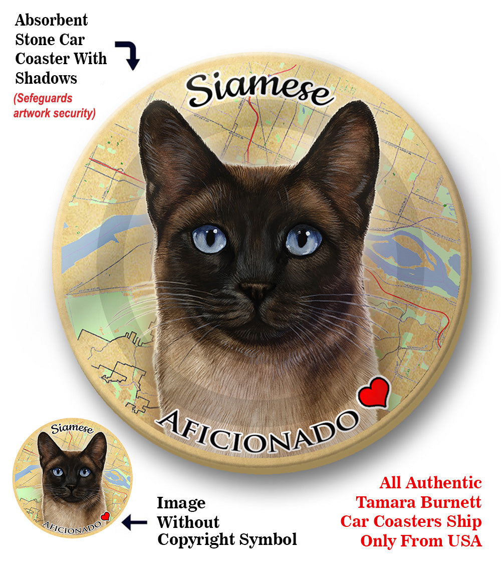 photo of Siamese Cat