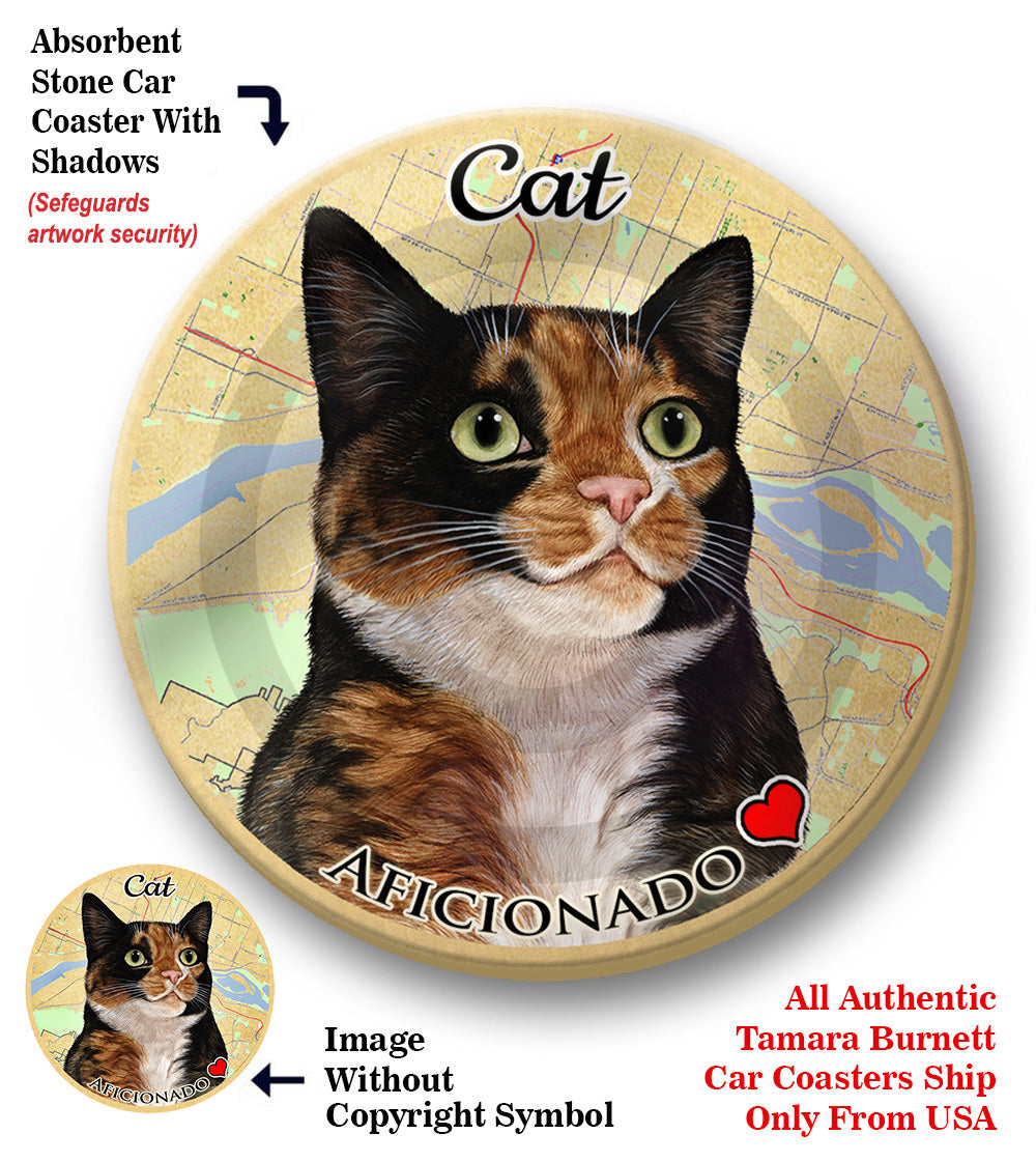 photo of Tortoiseshell Cat