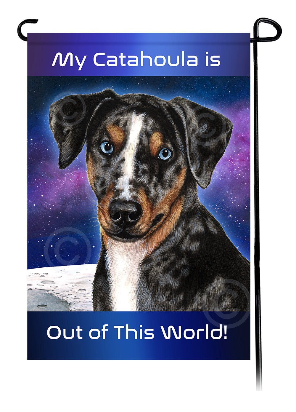 Catahoula Leopard Dog Out Of This World Garden Flags