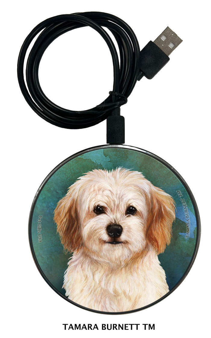 Cavachon Cream Zoomies Wireless Charger