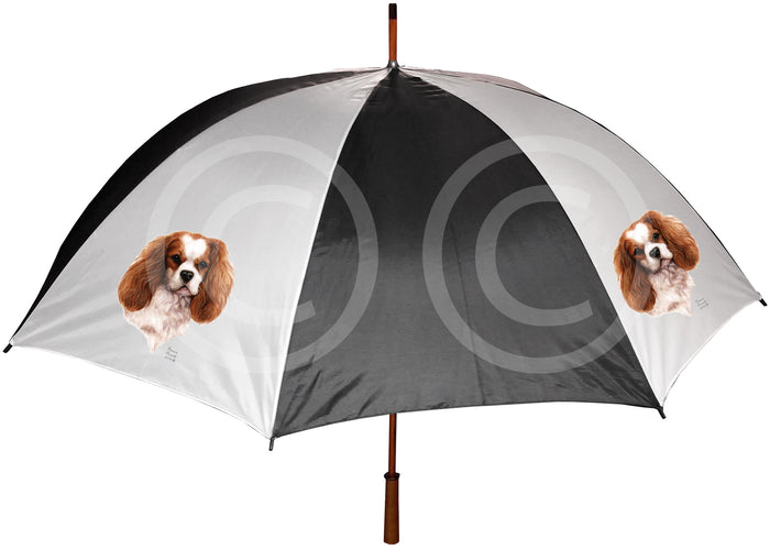 Cavalier King Charles Umbrella