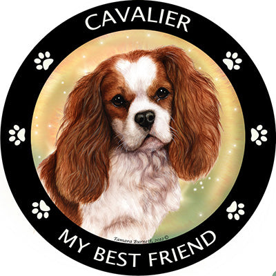Cavalier King Charles My Best Friend Magnets